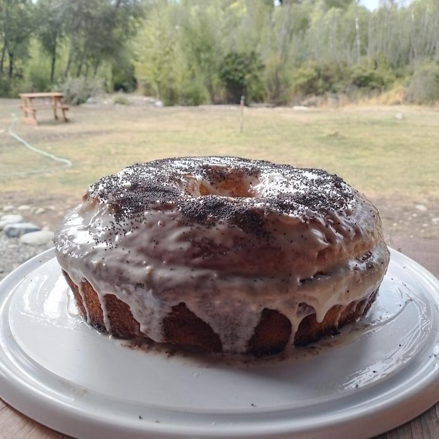 Hostal Del Rio El Bolsón Εξωτερικό φωτογραφία