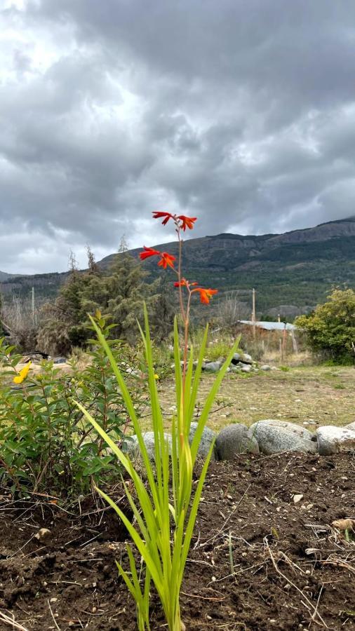 Hostal Del Rio El Bolsón Εξωτερικό φωτογραφία