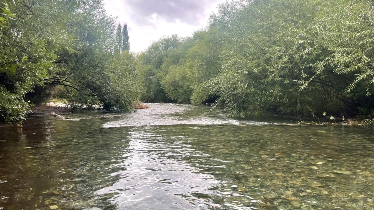 Hostal Del Rio El Bolsón Εξωτερικό φωτογραφία
